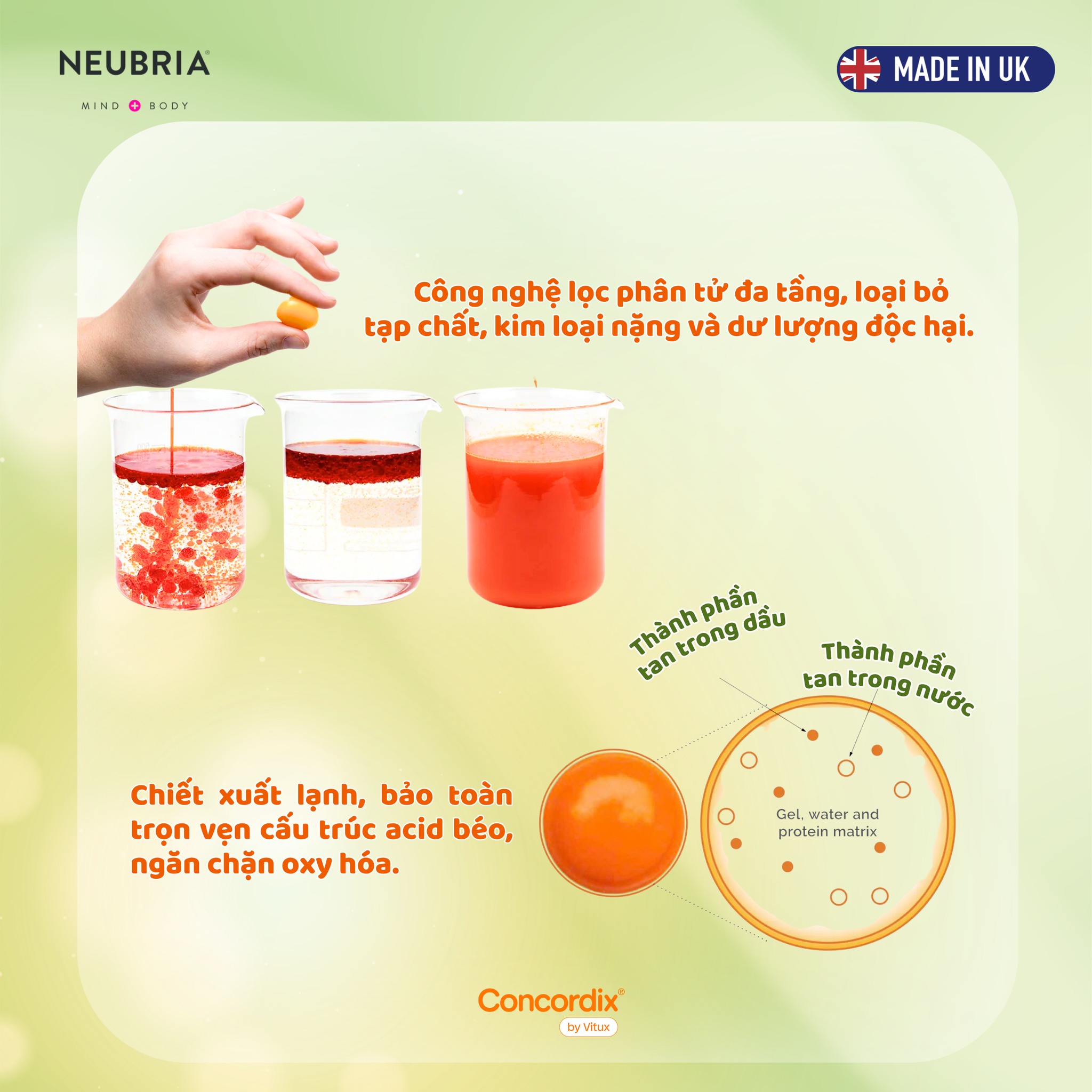 Dinh-duong-nao-bo-chon-omega-3-chuan-duoc-pham-cho-tre
